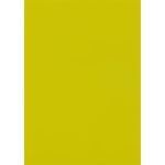 Absynthe Green Flat Card - 4 7/8 x 6 7/8 Curious Skin 100C