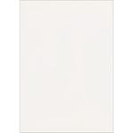 Ivory Flat Card - 4 7/8 x 6 7/8 Curious Skin 100C