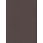 Brown Flat Card - 4 7/8 x 6 7/8 Curious Skin 100C