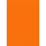 Orange Flat Card - 4 7/8 x 6 7/8 Curious Skin 100C
