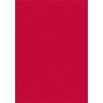 Red Flat Card - 4 7/8 x 6 7/8 Curious Skin 100C