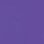 Lavender Square Flat Card - 6 1/4 x 6 1/4 Curious Skin 100C