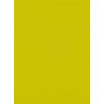 Absynthe Green Flat Card - A7 Curious Skin 5 1/8 x 7 100C