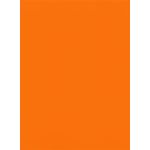 Orange Flat Card - A7 Curious Skin 5 1/8 x 7 100C