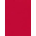 Red Flat Card - A7 Curious Skin 5 1/8 x 7 100C