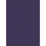 Violet Flat Card - A7 Curious Skin 5 1/8 x 7 100C