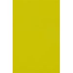 Absynthe Green Flat Card - A9 Curious Skin 5 1/2 x 8 1/2 100C
