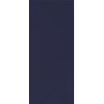 Dark Blue Flat Card - 4 x 9 1/4 Curious Skin 100C