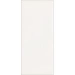 Ivory Flat Card - 4 x 9 1/4 Curious Skin 100C