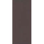 Brown Flat Card - 4 x 9 1/4 Curious Skin 100C
