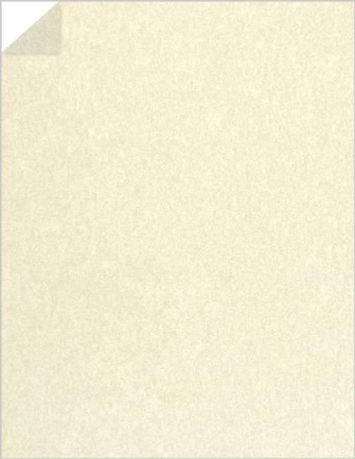 8 1/2 x 11 Parchment Paper