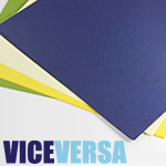 Vice Versa Paper