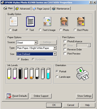 Epson Stylus Photo R1900 printer driver in Windows XP