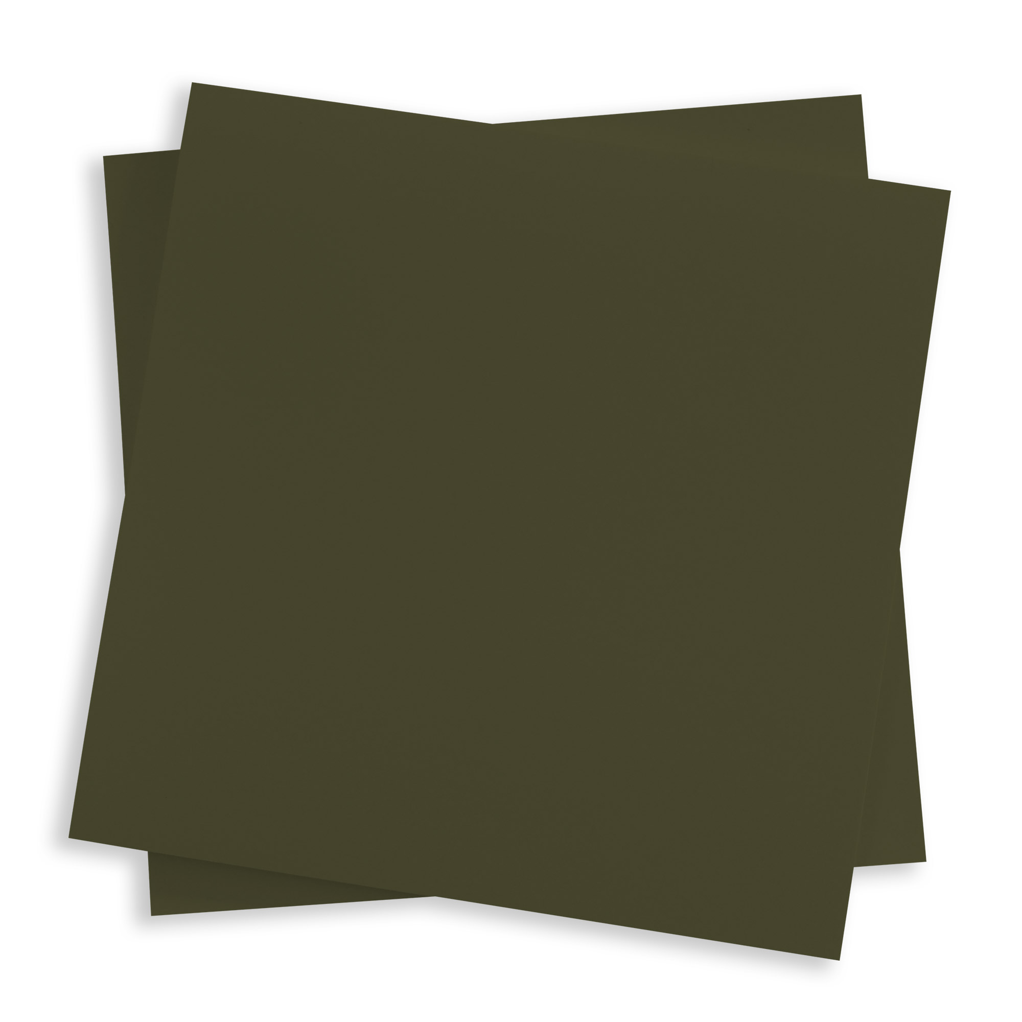 Forest Green Flat Card - 3 x 3 Gmund Colors Matt 111C